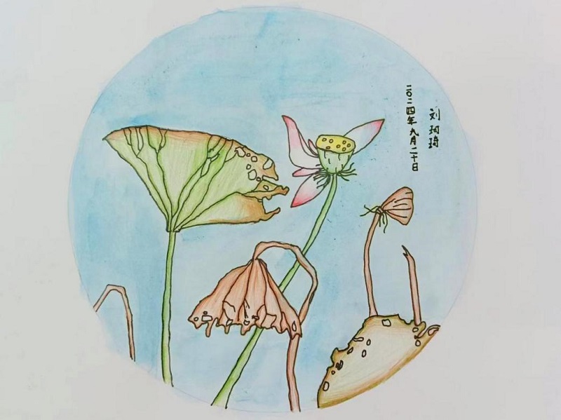 ca88手机客户端(安卓/苹果)CA88会员登录入口